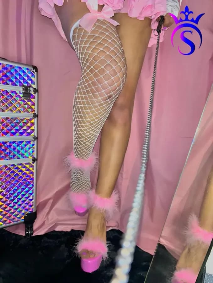 Supplycia